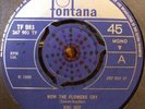 KIKI DEE  ON A MAGIC CARPET RIDE  NORTHERN MONSTER  