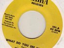 RARE SISTER FUNK 45 INELL YOUNG WHAT DO YOU SEE IN HER