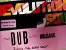 **CULTURAL ROOTS - REVOLUTIONARY SOUNDS DUB LP - MINT**