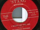 45--60's ROCK-FABULOUS MUSTANGS-RARE GROUP& LABEL-VG++