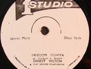 ERNEST WILSON Freedom Fighter STUDIO 1 12