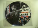 STRAY  CATS  