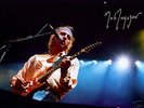 MARK KNOPFLER (DIRE STRAITS) Signed Autograph Photo COA