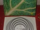 CATAPILLA Changes LP 1972 VERTIGO 1st Press AWESOME
