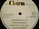 WARM & SUNNY DAY - DIGITAL ROOTS CUT Junior Brammer 12