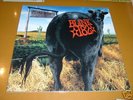 BLINK 182 /  DUDE RANCH RARE LP