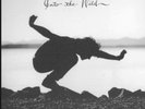 EDDIE VEDDER - INTO THE WILD (USA, Lim. Ed. 180g VINYL)