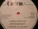 JUNIOR BRAMMER, CRIMESTOPPA, LUCAN SCISSORS, MIXING LAB