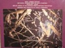 GOLDEN STRING ALL STAR PERCUSSION ENSEMBLE HQ-180GR LP