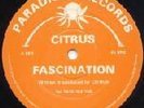 ------Citrus - Fascination      (Paradise Records)----