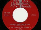 JOE LYONS & ARROWS - HOLLYWOOD - GREAT GRP RARE LISTEN