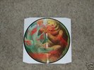 Bear VS Shark pic disc 1st press Nofx  hot water music