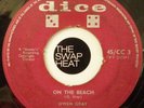 OWEN GRAY BUSTER'S GROUP -ON THE BEACH- 1963 7