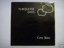 turquoise days - grey skies RARE PRIVATE SYNTH 7