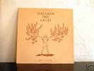 Dan Lewis Toward the Light LP Rare Private Psych Folk