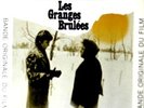 Jean-Michel JARRE Les Granges Brulees LP - Gamma label