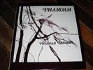 Spiritual Jazz LP   India Navigation   Pharoah Sanders