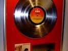 Mick Jagger Platin Schallplatte Rolling Stones Record