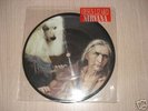 Nirvana rare picture disc 'oh the guilt' + red sticker