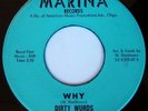rare Garage Psych Rock 45 DIRTY WURDS why on MARINA
