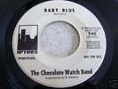 CHOCOLATE WATCH BAND  