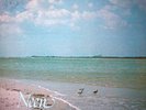 NEEN In My Own Little World PRIVATE BOSSA SCAT LP hear