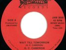 G.C. Cameron RARE Modern Soul 45 on Jamila