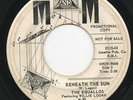 EQUALLOS beneath the sun M&M 2315 doo-wop 45 *RARE*