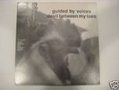 Guided by Voices - devil between my toes