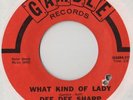 dee dee sharp / what kind of lady