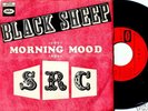 SRC Black Sheep 45 US 1968 HEAVY GARAGE PSYCH French PS