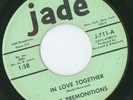 RARE NORTHERN THE PREMONITIONS IN LOVE TOGETHER {JADE}