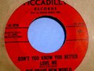 THE BRAVE NEW WORLD 1966 NW Garage Punk Psych 45 LISTEN