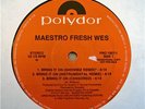 MAESTRO FRESH WES bring it on (showbiz remix) 12