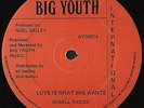 SOWELL RADICS / RARE SHAKA ROOTS REGGAE DUB 12” Listen