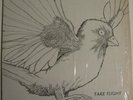 Private Femme Folk Psych LP TAKE FLIGHT Unknown HEAR