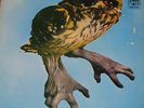 BRAINCHILD - HEALING OF LUNATIC OWL/A & M 70 RARE PROG