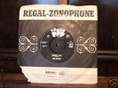 The Robins - Rare Record - Almost Impossible to find