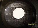 THE RAYS /LOVE ANOTHER GIRL/ AMY RECORDS #900 PROMO