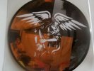 GIVE UP THE GHOST Love American Picture Disc 7