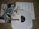THE OFFSPRING - s/t  LP punk PENNYWISE skate OOP