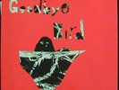 ANIMAL COLLECTIVE Hollindagain LP HANDMADE COVERS LIVE
