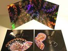 TOOL Signed Lateralus Vinyl Records Rare + Signed Cover