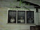Wild Olive Branch Band Top US Xian Christian Folkrock