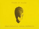 GUIDED BY VOICES:Self-Inflicted Aerial Nostalgia/500 pc