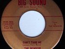 rare Garage Psych Rock 45 BENDERS can't tame me Listen