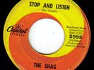 Garage/Psych - The Shag - 