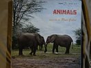 Pino Calvi Animals Italian UST Library NM- Funk Bomb