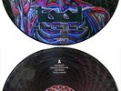 TOOL 'Lateralus' Promo Picture Disc 12