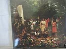 Feathers - private folk psych lp Devendra Espers SEALED